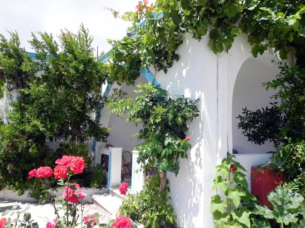 Mihalis Studios Lakki  Rum bild